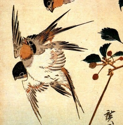 Utagawa Hiroshige, detail kleurhoutsnede, spreeuwen